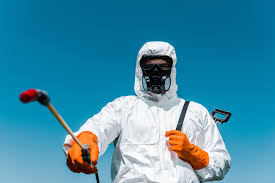 Best Organic or Eco-Friendly Pest Control  in Clementon, NJ